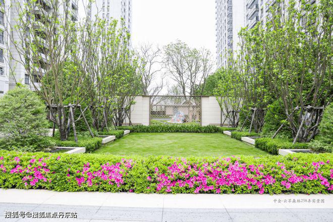 云萃森林售楼处——网站k8凯发国际登录中企(图9)