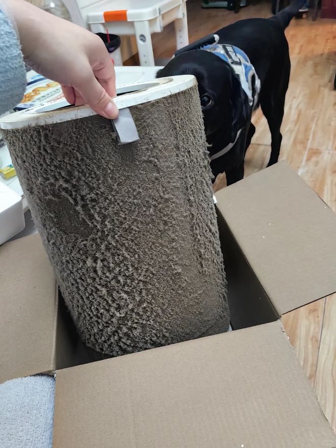 ！家里不富裕就不要跟风了这8种电器你买得起用不起(图12)